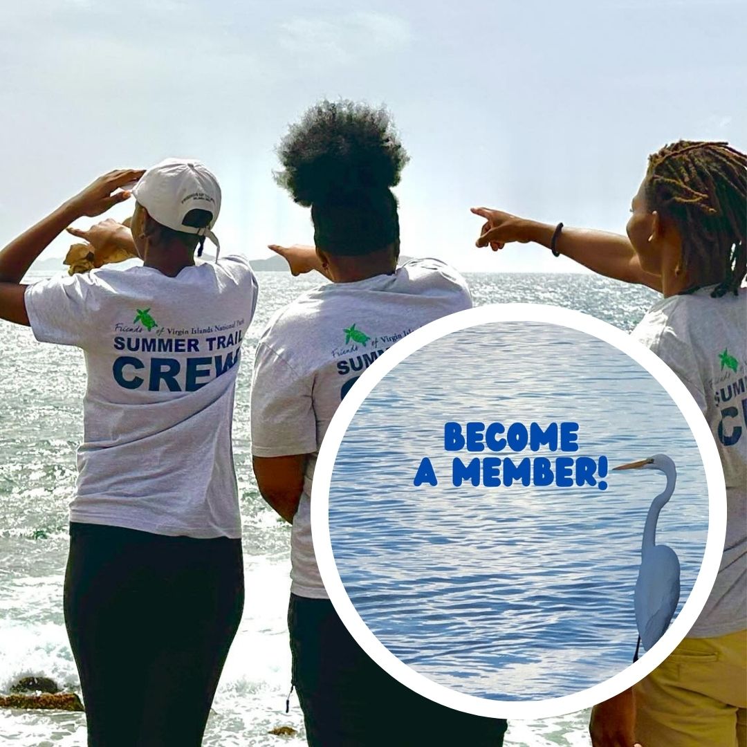 Membership