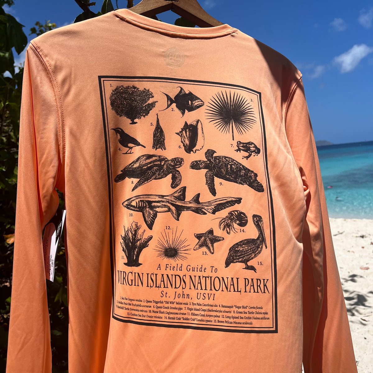 Field Guide Rashguard