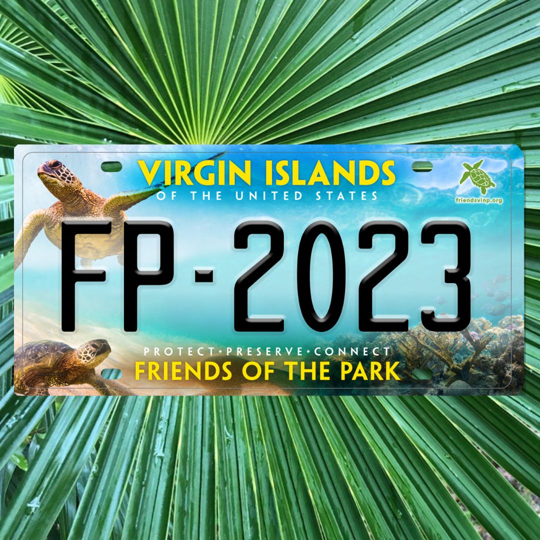 FP Motor Vehicle License Plate Pair